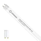 Ledvance Tubo LED T8 Performance (EM/Mains) High Output 13.5W 2100lm - 840 Bianco Freddo | 120cm - Sostitutiva 36W